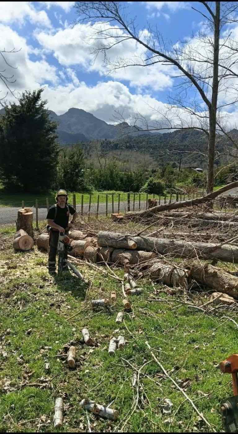 Philip Rae on a roadside job, trees felled and ringed up ready to be moved