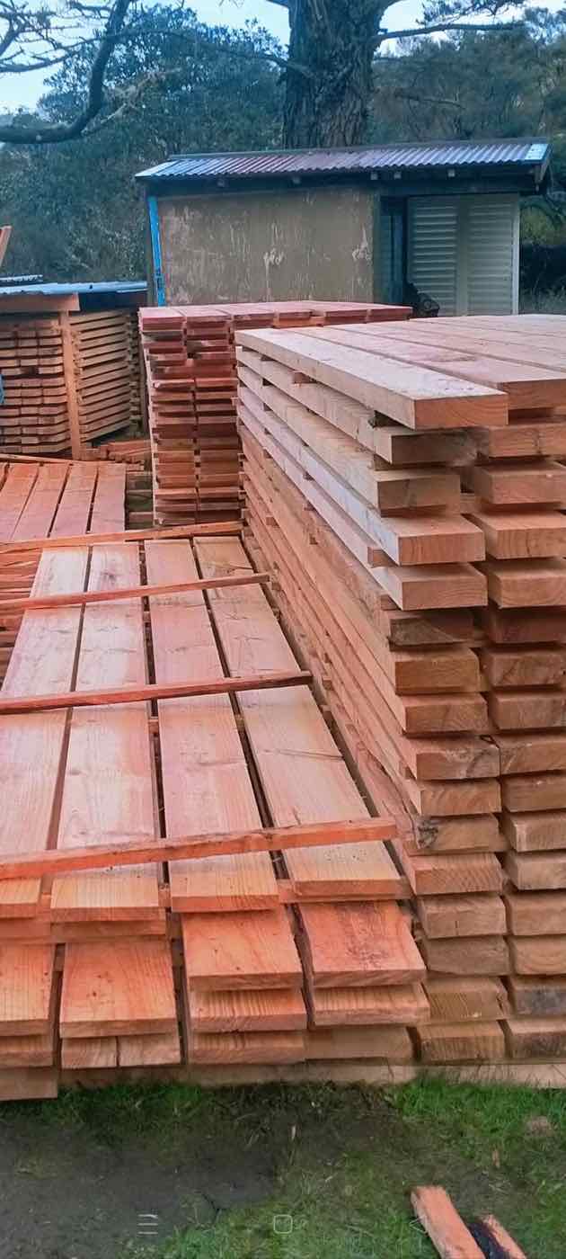 Stacks of freshly milled timber boards